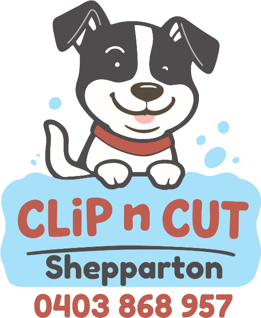 Clip n cut logo